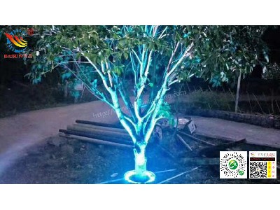 Landscape lighting case