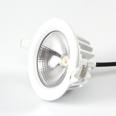 LED down light BCTD242