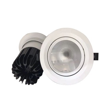 LED down light BCTD291